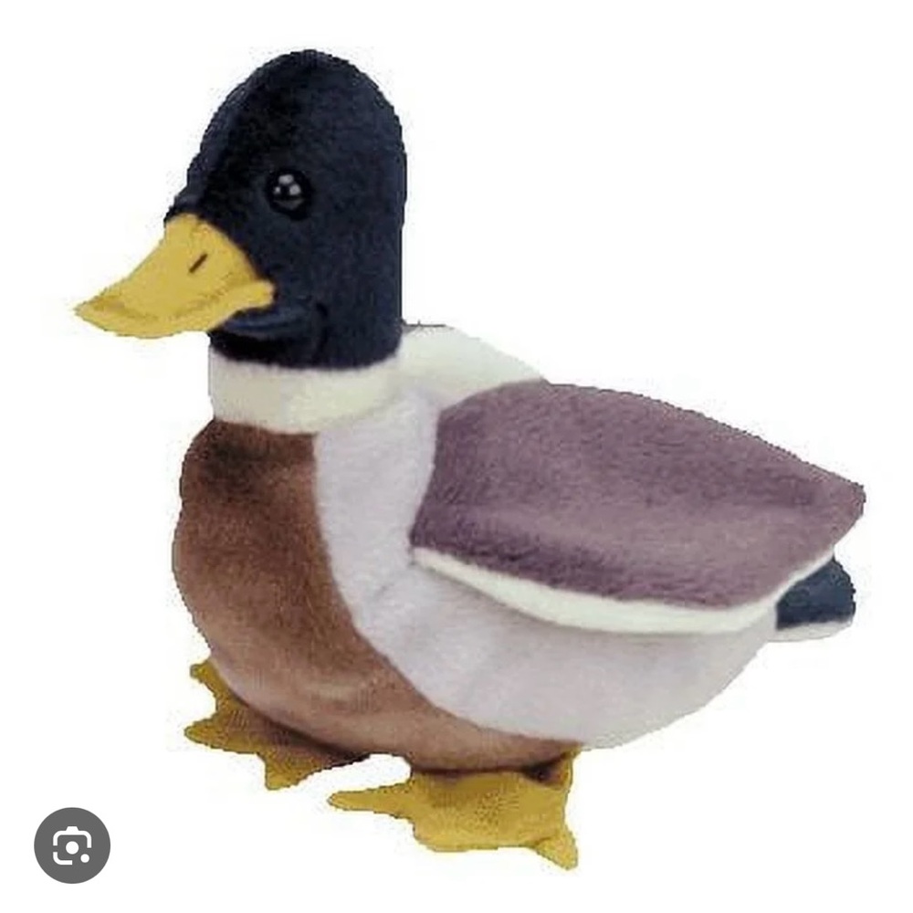 Beanie Baby Jake the Duck